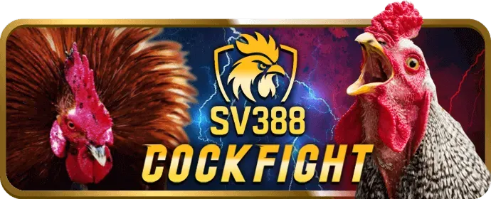 Ưu đãi chào mừng Nohu 28